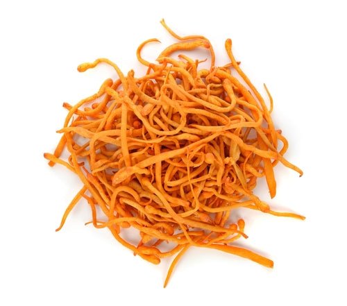 product_name – Holistic Health Calgary | product_type from Joy and Vitality Centre