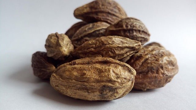 product_name – Holistic Health Calgary | product_type from Joy and Vitality Centre