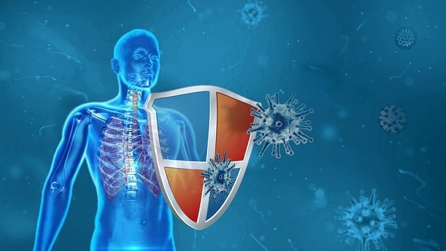 2026, The Hidden Link Between Winter Lungs and Emotional Recovery - Joy and Vitality Centre