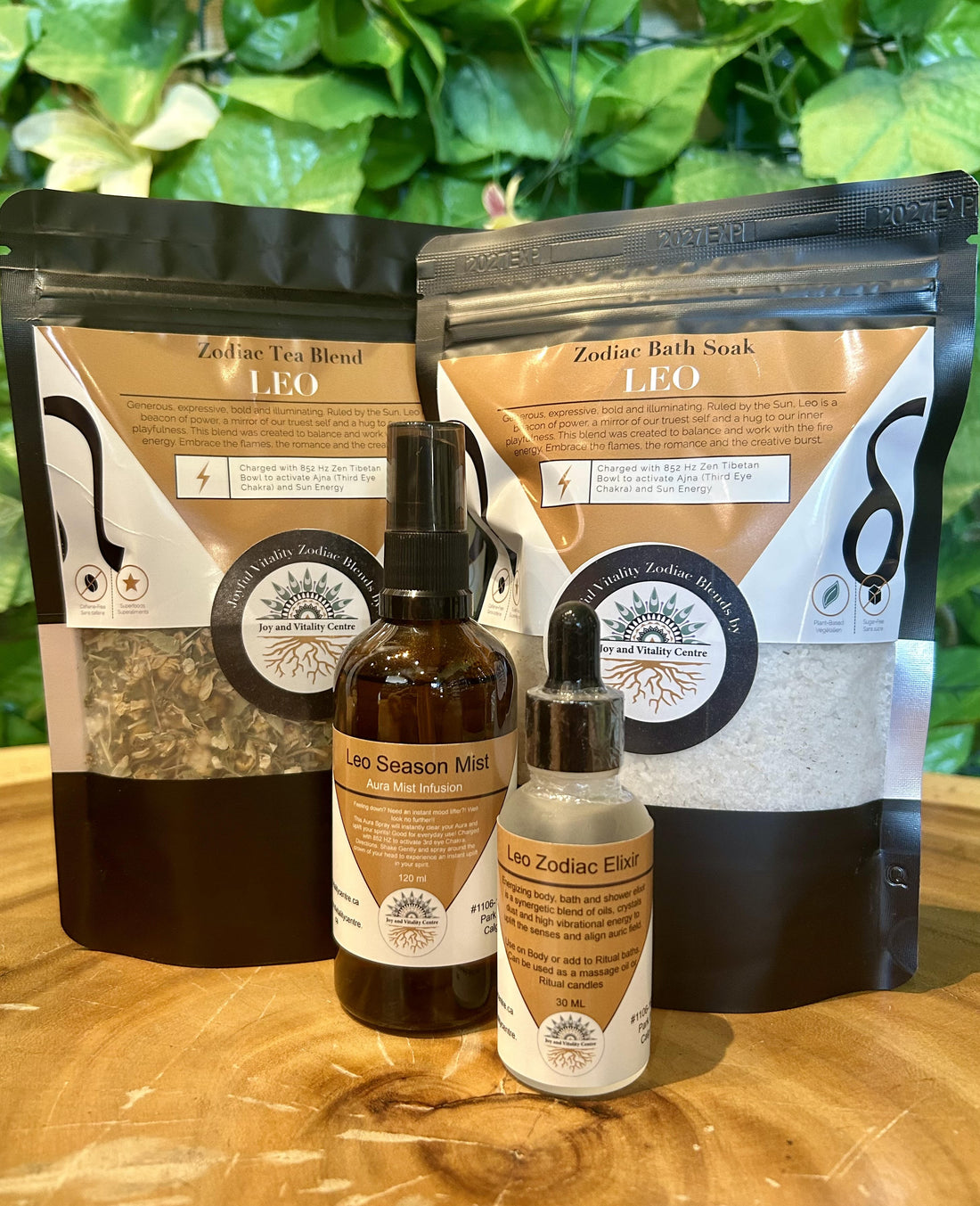 Welcome to Leo Season - Joy and Vitality Centre