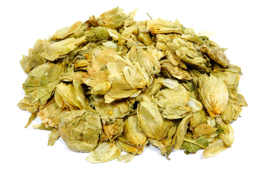 Hops (Humulus lupulus) are best known as a key ingredient in beer, but this calming flower has been used in traditional herbal medicine for centuries to support sleep, reduce anxiety, and balance hormones.