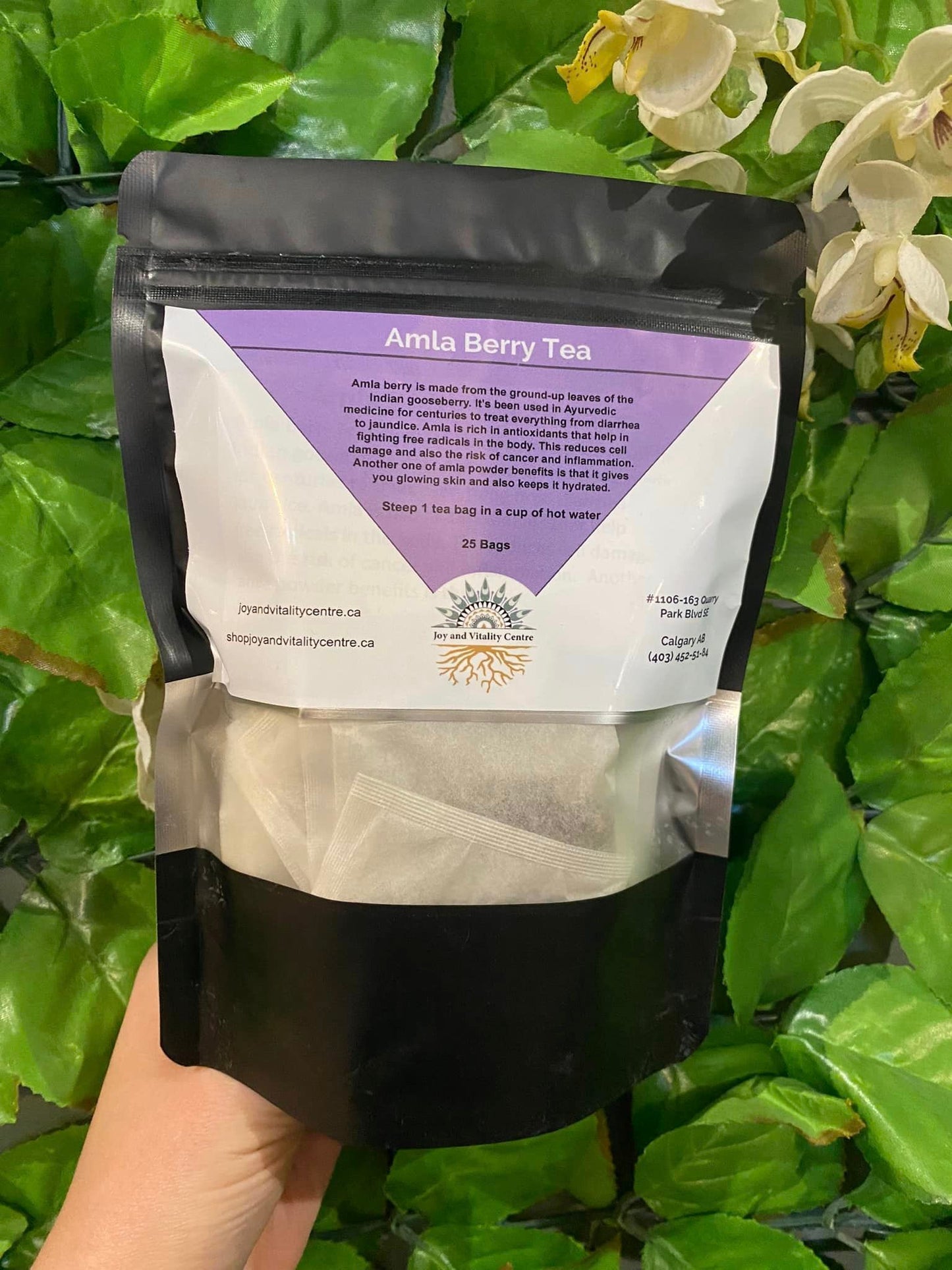 Amla Berry Tea Bags - Organic