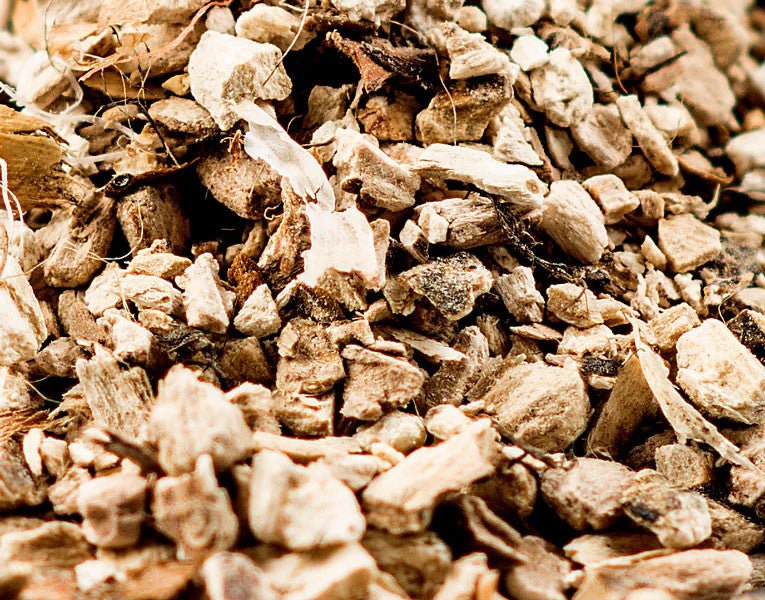 product_name – Holistic Health Calgary | product_type from Joy and Vitality Centre