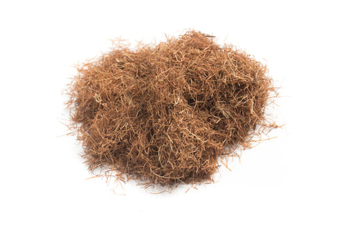 Cornsilk, the silky threads from corn husks, is a gentle yet powerful herb traditionally used to support urinary health, soothe bladder inflammation, and promote healthy kidney function. It acts as a natural diuretic, helping to flush out excess fluids and toxins from the body without irritating the kidneys.