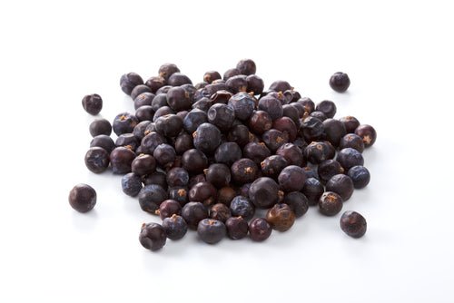 product_name – Holistic Health Calgary | product_type from Joy and Vitality Centre