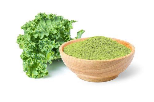 product_name – Holistic Health Calgary | product_type from Joy and Vitality Centre