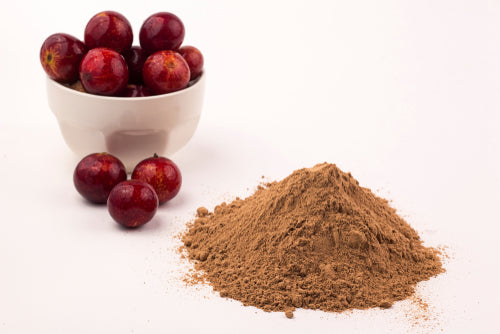 Camu Camu Berry Powder