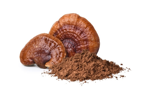 Reishi Medicinal Mushrooms Powder