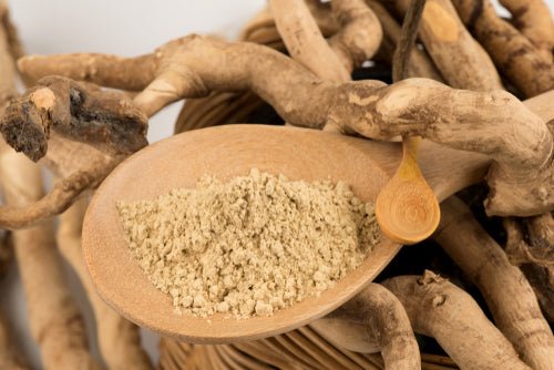 product_name – Holistic Health Calgary | product_type from Joy and Vitality Centre